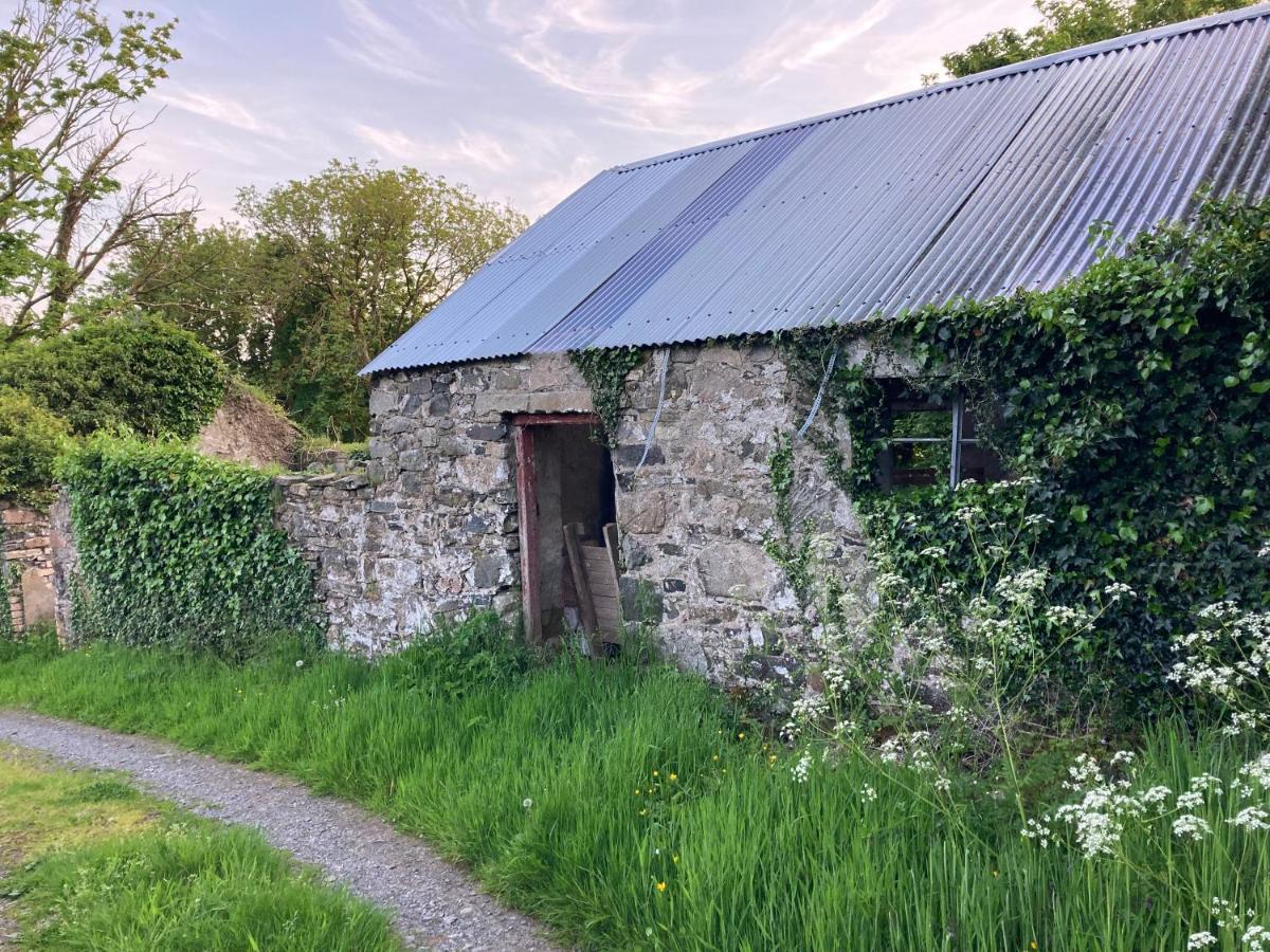 Hillhead Country Retreat Villa Castlewellan Exterior photo